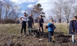 Plantations Cavalier   008